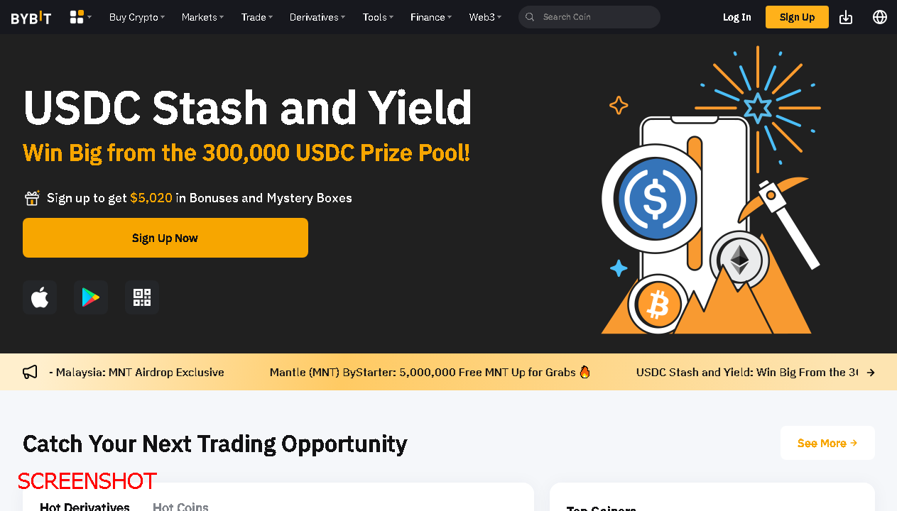 screenshot https://www.bybit.com