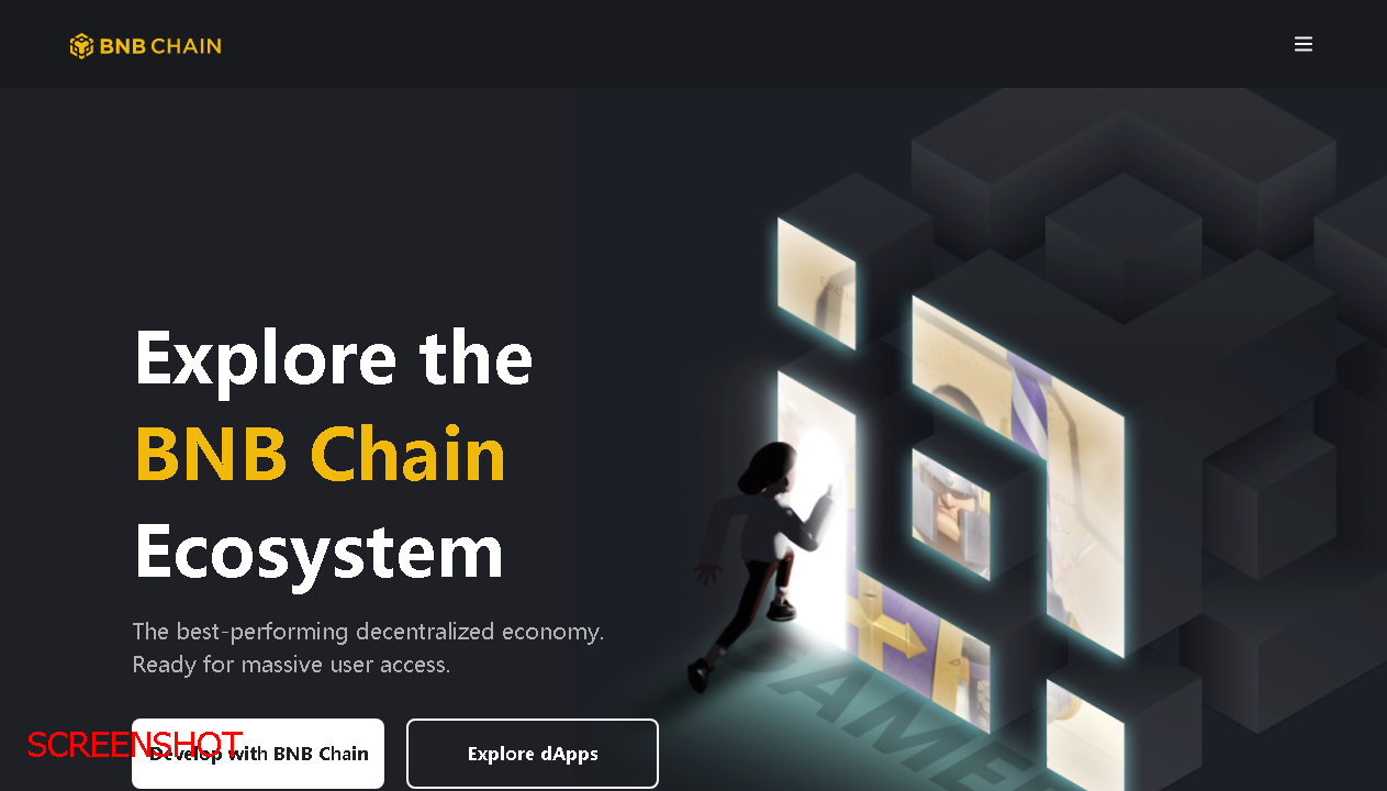 screenshot https://www.binance.org/#smartChain